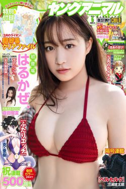 宁安如梦1-36集