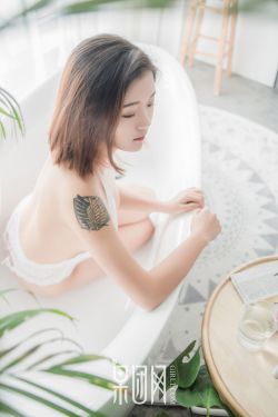 女人的战争:女人的理由